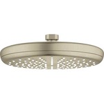Grohe Tempesta 210 Hovedbruser 1 sprayRain