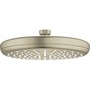 Grohe Tempesta 210 Hovedbruser 1 sprayRain