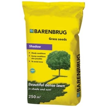 Barenbrug Shadow græsfrø, 5 kg