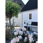 Plastmo Zink Endebund 11''