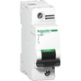 Schneider Electric Automatsikring d 1p 125a 15ka